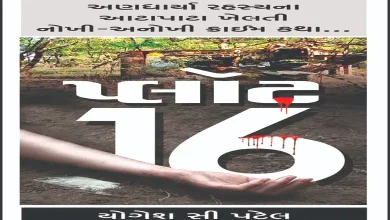 plot 16 – પ્રકરણ-24