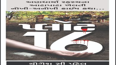 પ્લોટ-16 -પ્રકરણ-2