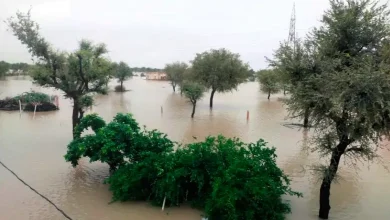 Punjab 43 people died heavy rains also affected normal life in Rajasthan and Delhi