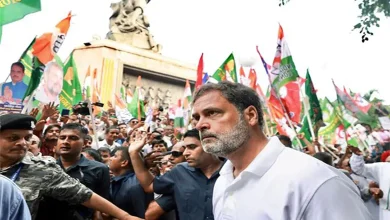 રાહુલ ગાંધી આવશે ગુજરાતની મુલાકાતે, જૂનાગઢ ખાતે ચાલી રહેલા તાલીમ કેમ્પમાં હાજરી આપશે