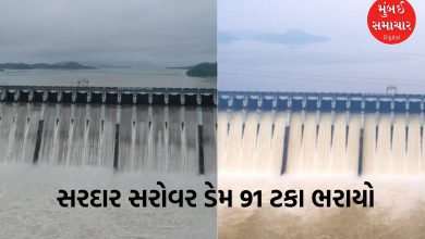 Sardar Sarovar Dam in Gujarat 91 percent full, 123 dams on high alert