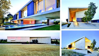 સ્થાપત્યનું વાઈ-ફાઈઃ ખેતરમાં આવેલો લાંબો ઘનાકાર સાયપ્રસનો આવાસ