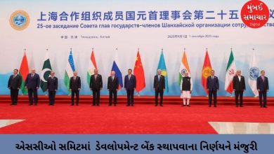 Decision to establish Development Bank approved at SCO Summit, will boost social development