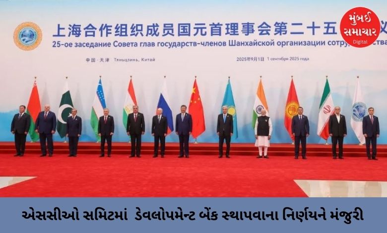 Decision to establish Development Bank approved at SCO Summit, will boost social development