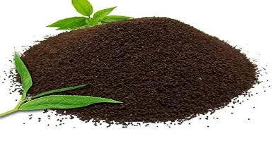 ચા ખરીદદારોનો વિશ્વાસ પુનઃ અંકે કરવા માટે ગુણવત્તાને અગ્રતાક્રમ આપવા હાકલ