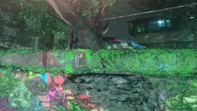 ભારે વરસાદના કારણે જર્જરિત દીવાલ.