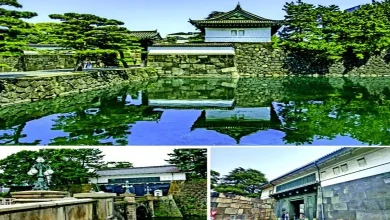 Around the World: Tokyo Imperial Palace offers a true experience of Japanese organization...