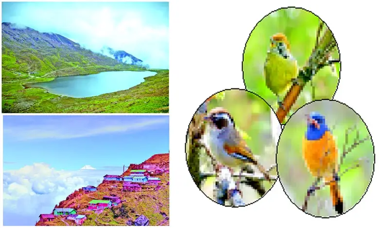 Travel Plus: A paradise between earth and sky - a free world of colorful birds!