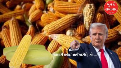 'If you don't buy our corn, then...' USA again threatens India