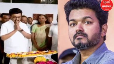 Actor Vijay to give Rs 20 lakh to Tamil Nadu stampede victims, but Stalin says it's more important