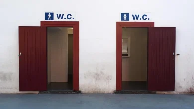 પબ્લિક ટોઈલેટની બહાર WC કેમ લખવામાં આવે છે? 99 ટકા લોકોને નથી ખબર સાચું કારણ...