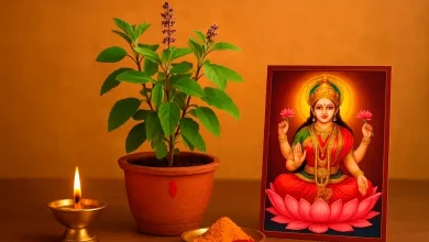 Increase happiness and prosperity in your home by worshipping Tulsi during Navratri.