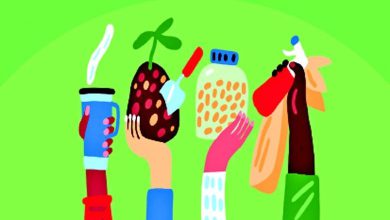 Focus: What is a zero waste lifestyle?