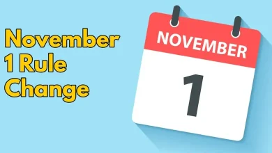 દર મહિનાની પહેલી તારીખે કેટલાક મહત્ત્વના નિયમોમાં ફેરફાર કરવામાં આવે છે, જેની અસર આમ આદમીના ગજવા પર જોવા મળે છે. પહેલી નવેમ્બર, 2025થી