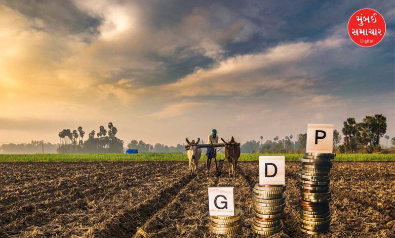 10 ટ્રિલ્યન ડૉલરના અર્થતંત્રના લક્ષ્યાંક માટે $1 ટ્રિલ્યન કૃષિ ક્ષેત્રનું દ્રશ્ય