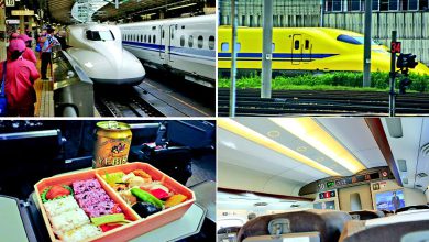 (4) અરાઉન્ડ ધ વર્લ્ડઃ ટોકાઈડો શિનકાનસેન-જાપાનીઝ બુલેટ ટ્રેનમાં અનુભવ થઈ પણ જાય ને ખબર પણ ન પડે...