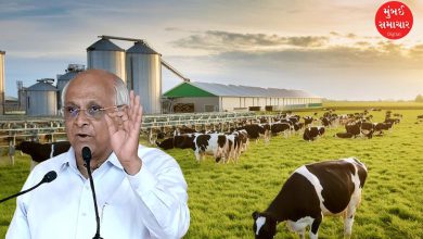 Agriculture-Dairy Sector