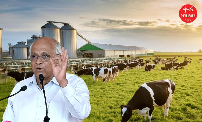 Agriculture-Dairy Sector