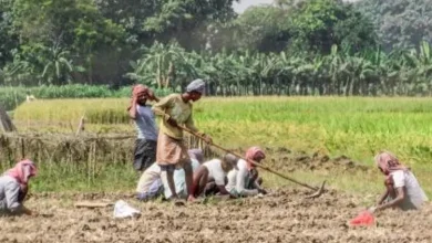 અકોલાના ખેડૂતો સરકારી પાક વીમાના નજીવા વળતર સામે વિરોધ પ્રદર્શન કરી રહ્યા છે.