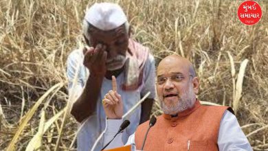 Amit Shah helps farmers