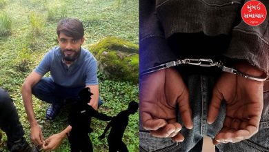 ઓપરેશન મહાદેવ હેઠળ પહલગામ હુમલામાં આતંકીઓને મદદ કરતો મોહમ્મદ યુસુફ કટારી પકડાયો