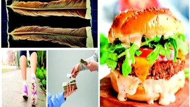 Auction Expensive Feather Interest Purusharth Burger