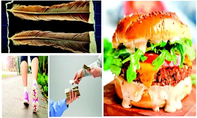 Auction Expensive Feather Interest Purusharth Burger
