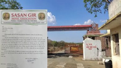 ગીર જંગલમાં પરમિટનું કાળું બજાર? 800 રૂપિયાની ટિકિટ 20 હજારમાં વેચાતી હોવાની ફરિયાદ!