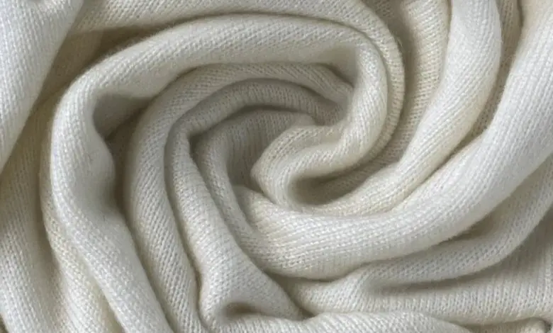 કબાટમાં પડેલા દુર્ગંધ મારતા ધાબળાને સાફ કરવા માટે સૂર્યપ્રકાશ, વિનેગર અને બેકિંગ સોડાનો ઉપયોગ કરતી સ્ત્રી.