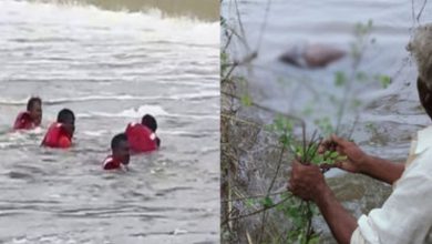 શોકનો માહોલ: રાજુલાના ધાતરવાડી ડેમમાં ડૂબેલા ચાર યુવકોના મૃતદેહ મળ્યાં; પરિવારોનું કરૂણ આક્રંદ