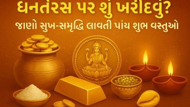 સોના ચાંદી નહીં તો ધનતેરસ પર શું ખરીદવું? જાણો સુખ-સમૃદ્ધિ લાવતી પાંચ શુકનવંતી વસ્તુઓ