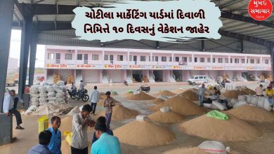 ચોટીલા માર્કેટિંગ યાર્ડમાં દિવાળી નિમિત્તે ૧૦ દિવસનું વેકેશન જાહેર