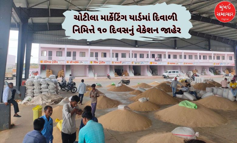 ચોટીલા માર્કેટિંગ યાર્ડમાં દિવાળી નિમિત્તે ૧૦ દિવસનું વેકેશન જાહેર