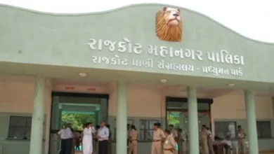 શહેર અને જિલ્લામાં સરકારી, ખાનગી બેંકો અને ફાઇનાન્સ પેઢીઓમાંથી કરોડો રૂપિયાની લોન લઈને હપ્તા ન ભરનારા ડિફોલ્ટર સામે કલેક્ટર દ્વારા આક્રમક કાર્યવાહી શરૂ કરવામાં આવી હતી,