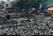 મુંબઈ મહાનગર પાલિકા કમિશનર ભૂષણ ગગરાણી સાથે જૈન સમાજના અગ્રણીઓની મુલાકાત: કબૂતરખાના માટે વૈકલ્પિક જગ્યાની માગણી