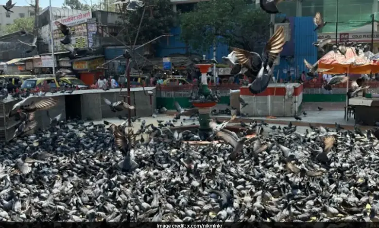 મુંબઈ મહાનગર પાલિકા કમિશનર ભૂષણ ગગરાણી સાથે જૈન સમાજના અગ્રણીઓની મુલાકાત: કબૂતરખાના માટે વૈકલ્પિક જગ્યાની માગણી