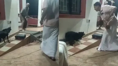 Dog attacks artist during street play