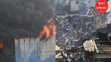 કુર્લામાં ઓટો પાર્ટની દુકાનમાં આગ, ૨૦ દુકાનો રાખ સાડા પાંચ કલાકની જહેમત બાદ આગ નિયંત્રણમાં આવી