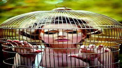 From infancy to middle age: Who would like such a golden cage?