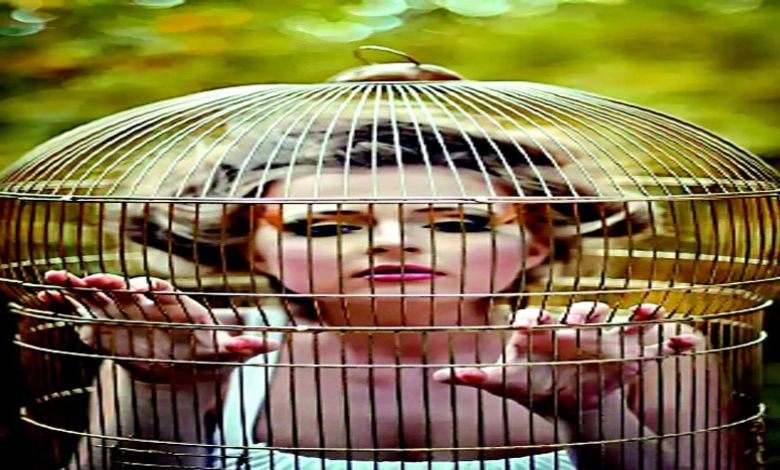 From infancy to middle age: Who would like such a golden cage?