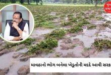 ગુજરાતના ખેતરોમાં કમોસમી વરસાદથી પાકને થયેલું નુકસાન અને મુખ્યમંત્રીનો સર્વે પૂર્ણ કરવાનો આદેશ