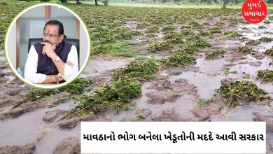 ગુજરાતના ખેતરોમાં કમોસમી વરસાદથી પાકને થયેલું નુકસાન અને મુખ્યમંત્રીનો સર્વે પૂર્ણ કરવાનો આદેશ