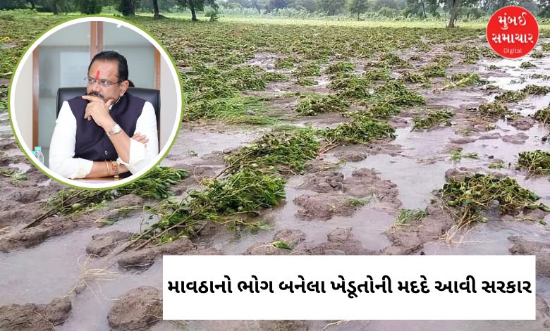 ગુજરાતના ખેતરોમાં કમોસમી વરસાદથી પાકને થયેલું નુકસાન અને મુખ્યમંત્રીનો સર્વે પૂર્ણ કરવાનો આદેશ
