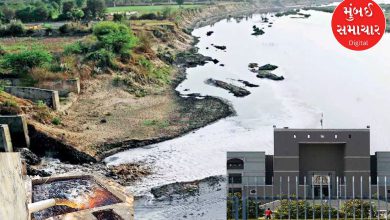 Gujarat High Court issues contempt notice to authorities for dumping polluted water into village pond