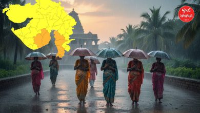 દિવાળી બાદ 'અષાઢી માહોલ'! ગુજરાતના 152 તાલુકામાં માવઠું, મહુવામાં 7.68 ઇંચ વરસાદ