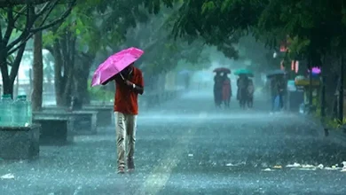 ગુજરાતમાં નવા વર્ષની શરૂઆતના ગાળે હવામાનમાં મિશ્ર પરિસ્થિતિ જોવા મળી હતી, જેમાં દક્ષિણ ગુજરાતના છૂટાછવાયા વિસ્તારોમાં સામાન્ય વરસાદ નોંધાયો હતો