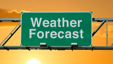 Gujarat Weather: વરસાદ ગયો, હવે ઠંડીનો માહોલ? જાણો દિવાળી ટાણે હવામાન વિભાગે શું કરી આગાહી?