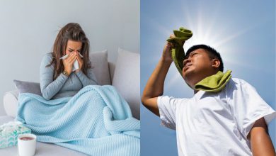 ભુજ, અમદાવાદ, સુરત ૩૪° સે. પર: વહેલી સવારની ઠંડી છતાં 'ઓક્ટોબર હીટ'નો અહેસાસ