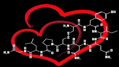 Brainstorming: Happy hormones play a major role in reducing stress and depression