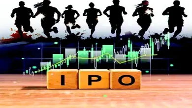 Cover Story: Be careful before jumping into the IPO frenzy!